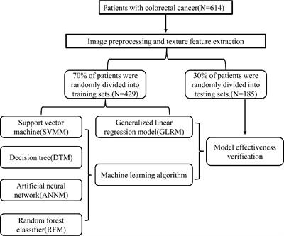 Machine learning based gray-level co-occurrence matrix early warning system enables accurate detection of colorectal cancer pelvic bone metastases on MRI